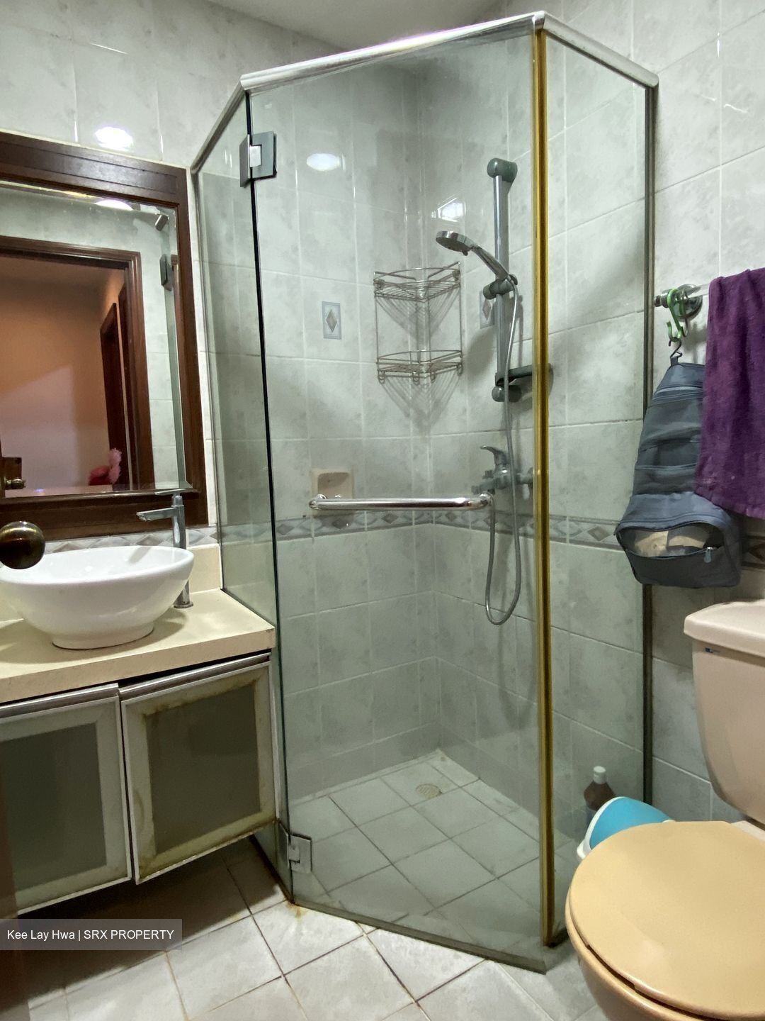 Hazel Park Condominium (D23), Condominium #504020061